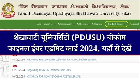 PDUSU MA Admit Card 2024 (Final Year) शेखावाटी एमए प्रवेश .